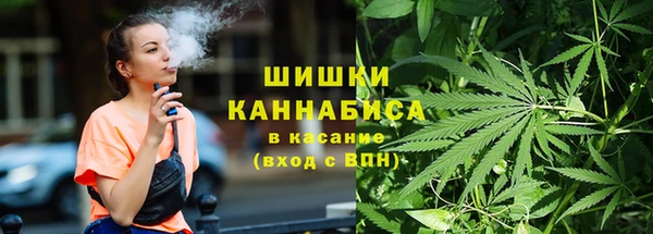 прущие грибы Верхнеуральск