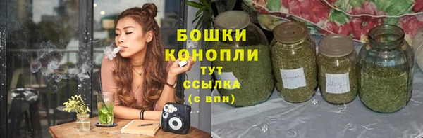 каннабис Богданович